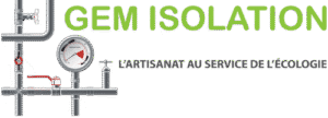 Logo Gem Isolation